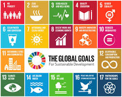 Roundtable of In Focus: SDG 11