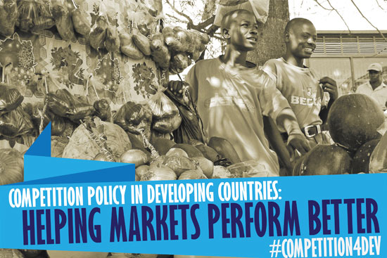 Competition Policy in Developing Countries: